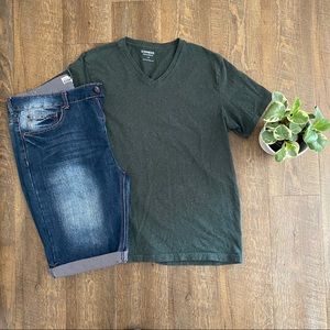 Express Flex Stretch V-neck